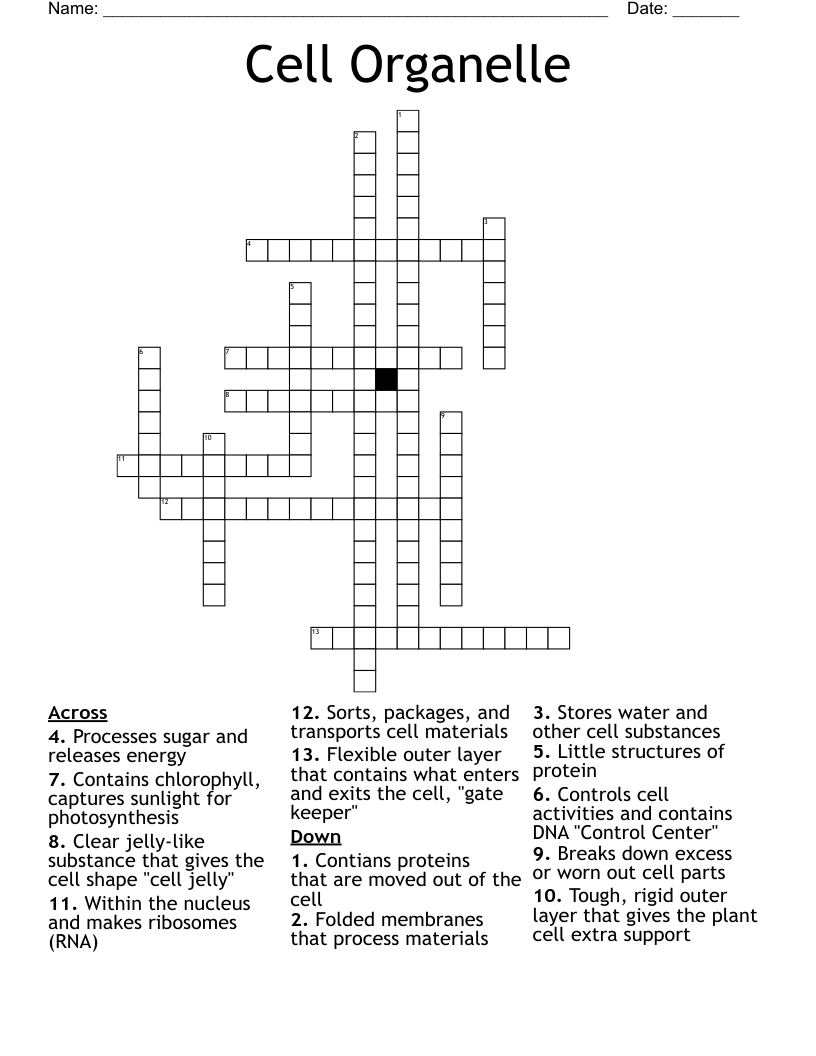 Cell Organelle Crossword