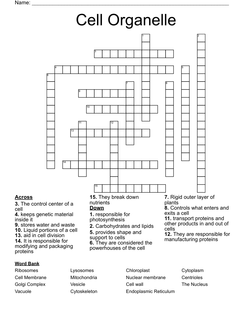 Cell Organelle Crossword