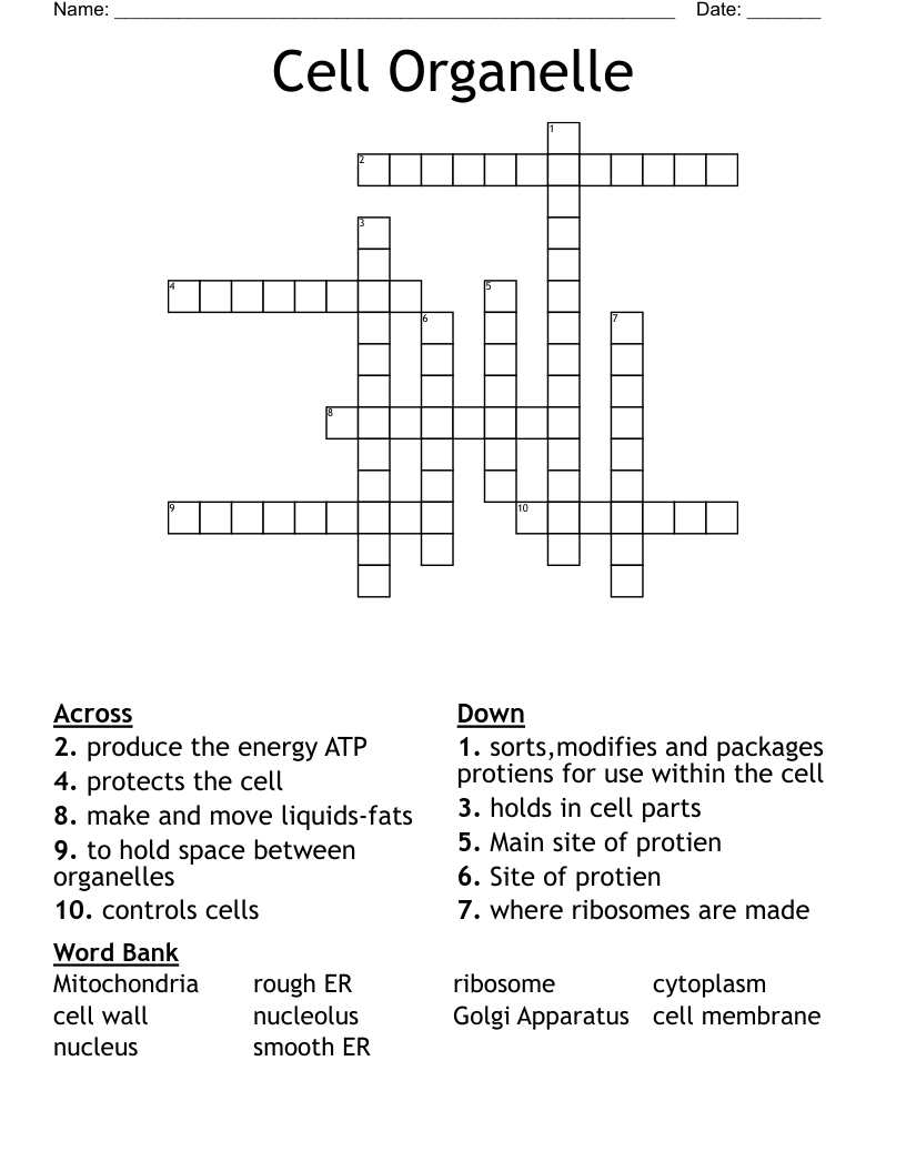 Cell Organelle Crossword