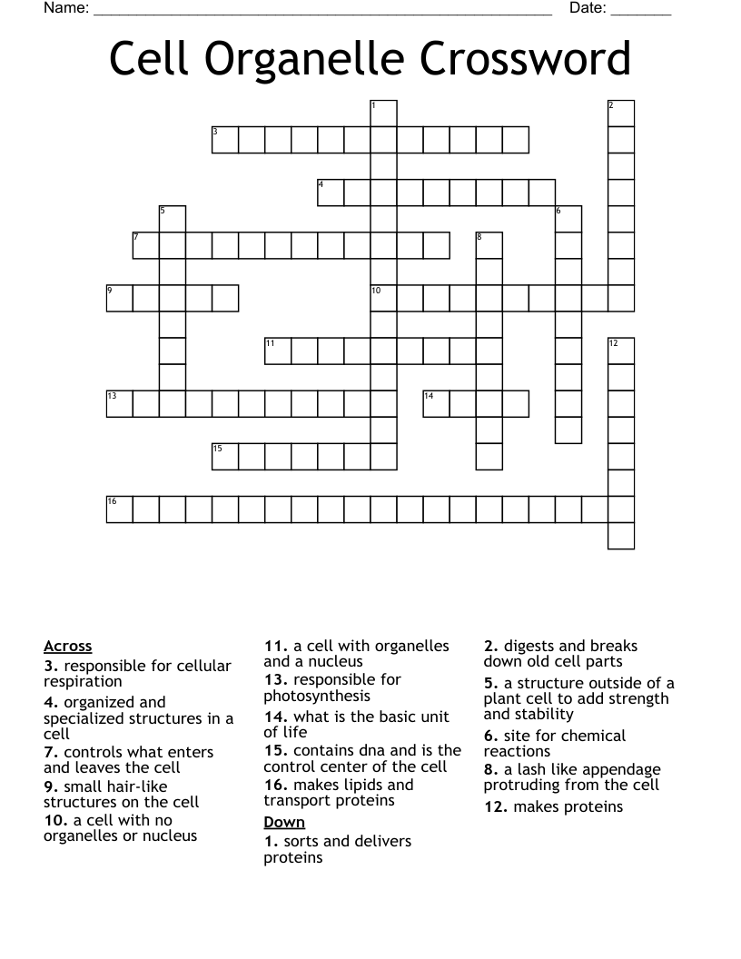 Cell Organelle Crossword