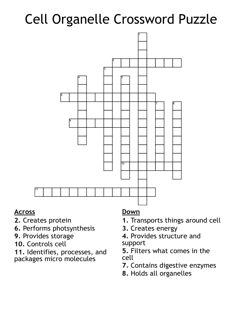 Cell Organelle Crossword Puzzle