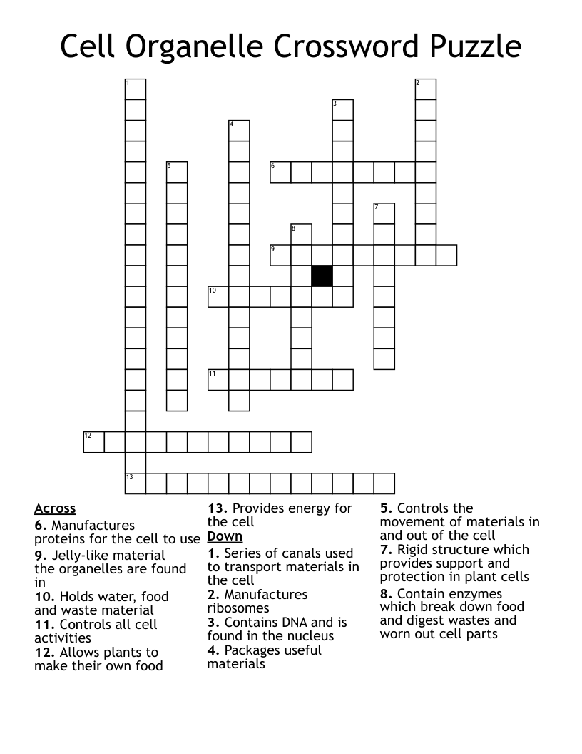 Cell Organelle Crossword Puzzle