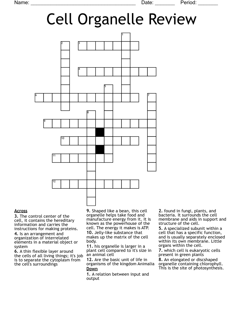 Cell Organelle Review Crossword