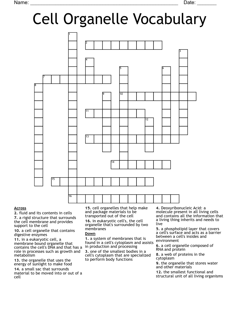 Cell Organelle Vocabulary Crossword