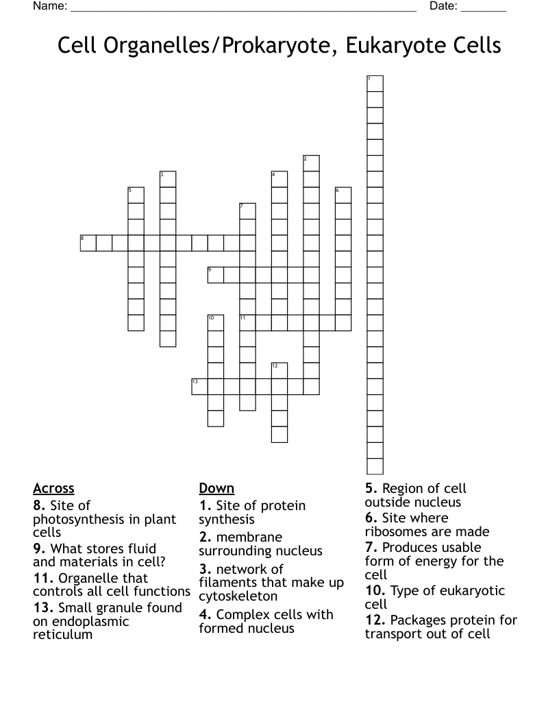 Cell Organelles/Prokaryote, Eukaryote Cells Crossword