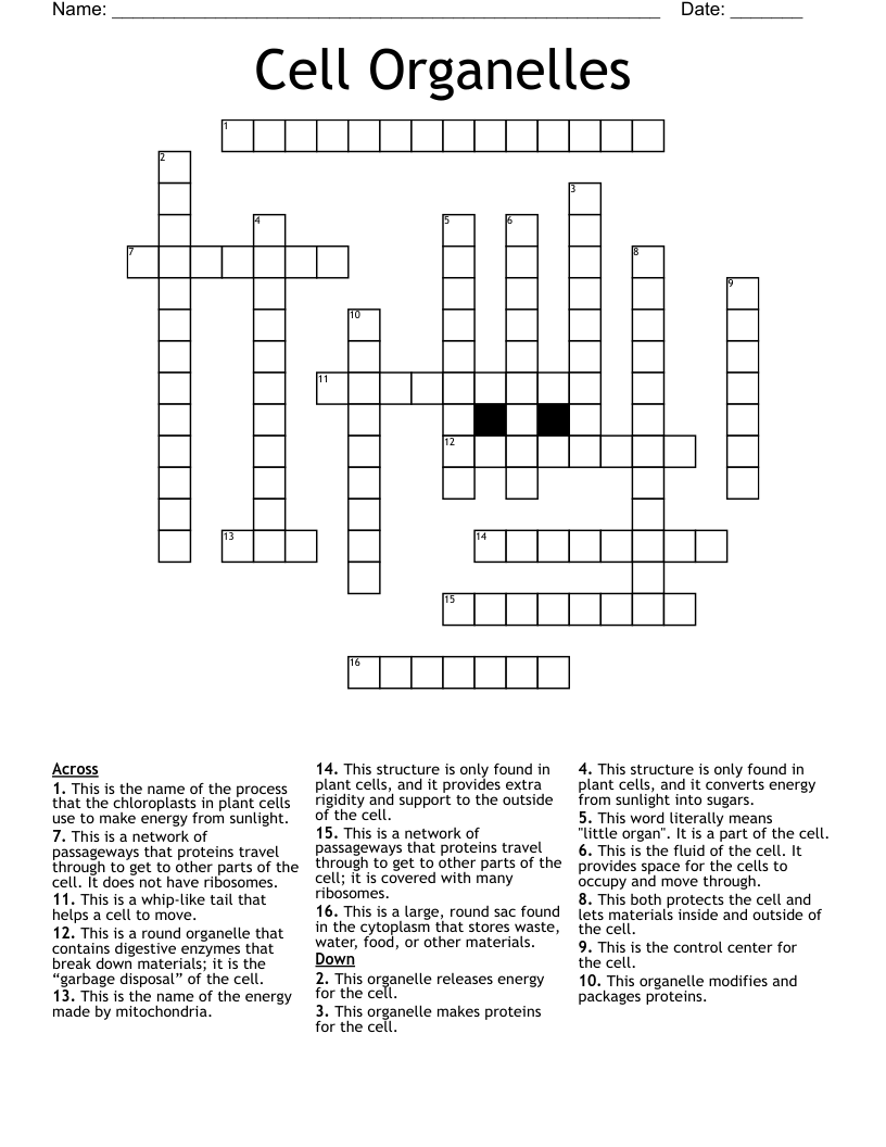 Cell Organelles Crossword