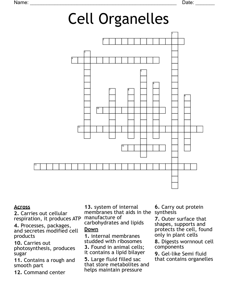 Cell Organelles Crossword
