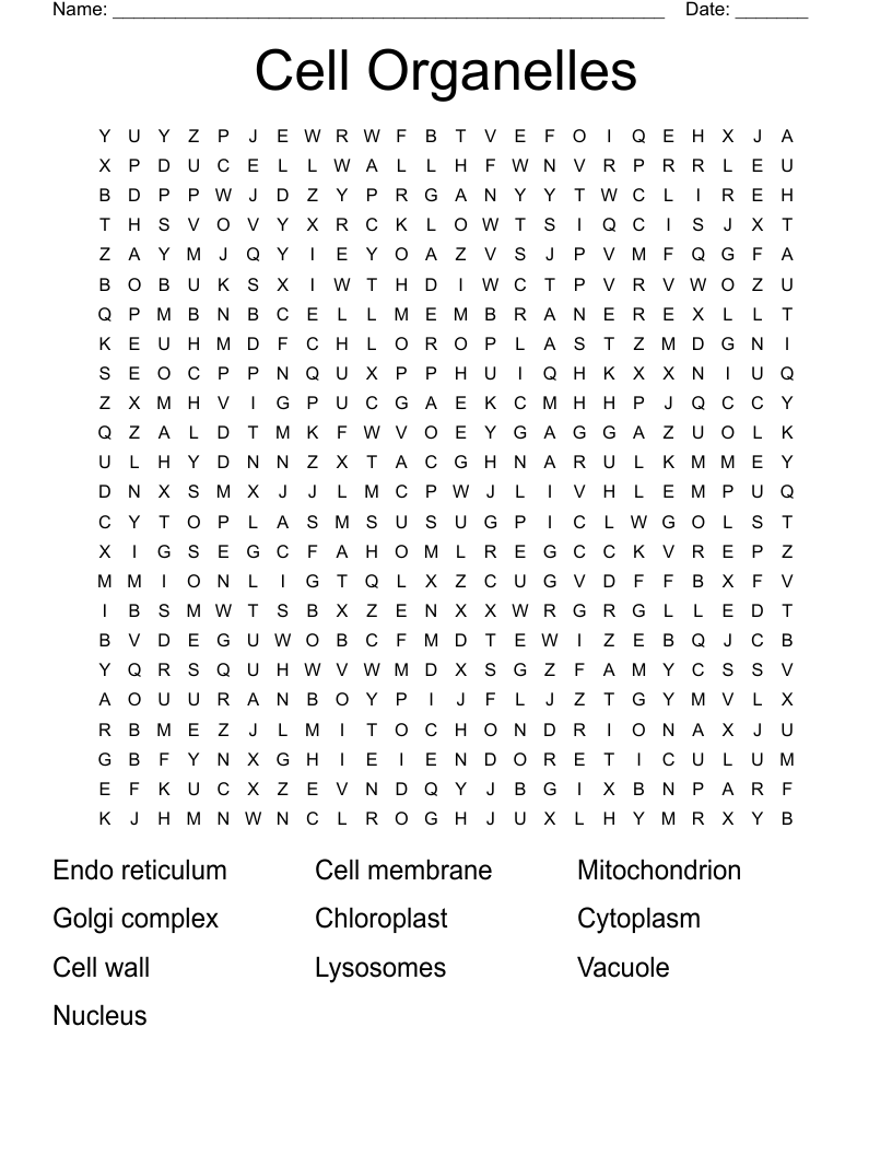 Cell Organelles Word Search