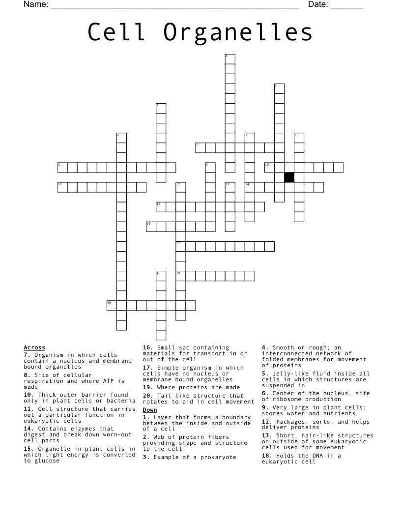 Cell Organelles Crossword