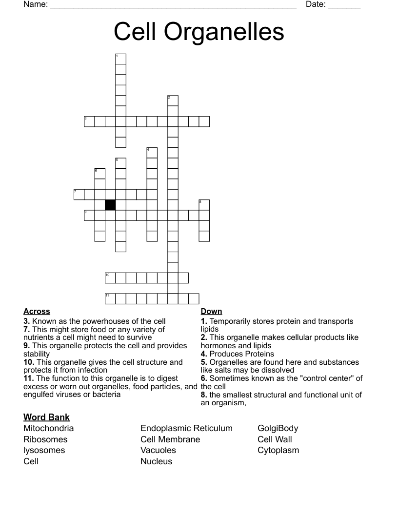 Cell Organelles Crossword