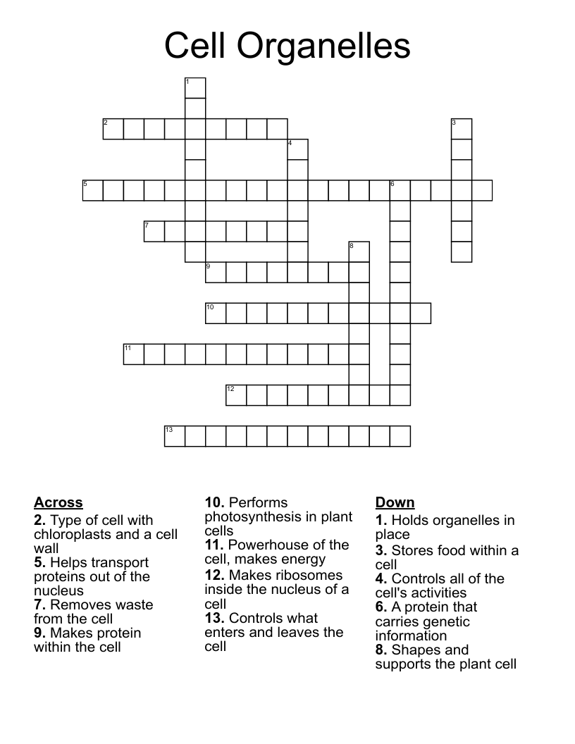 Cell Organelles Crossword