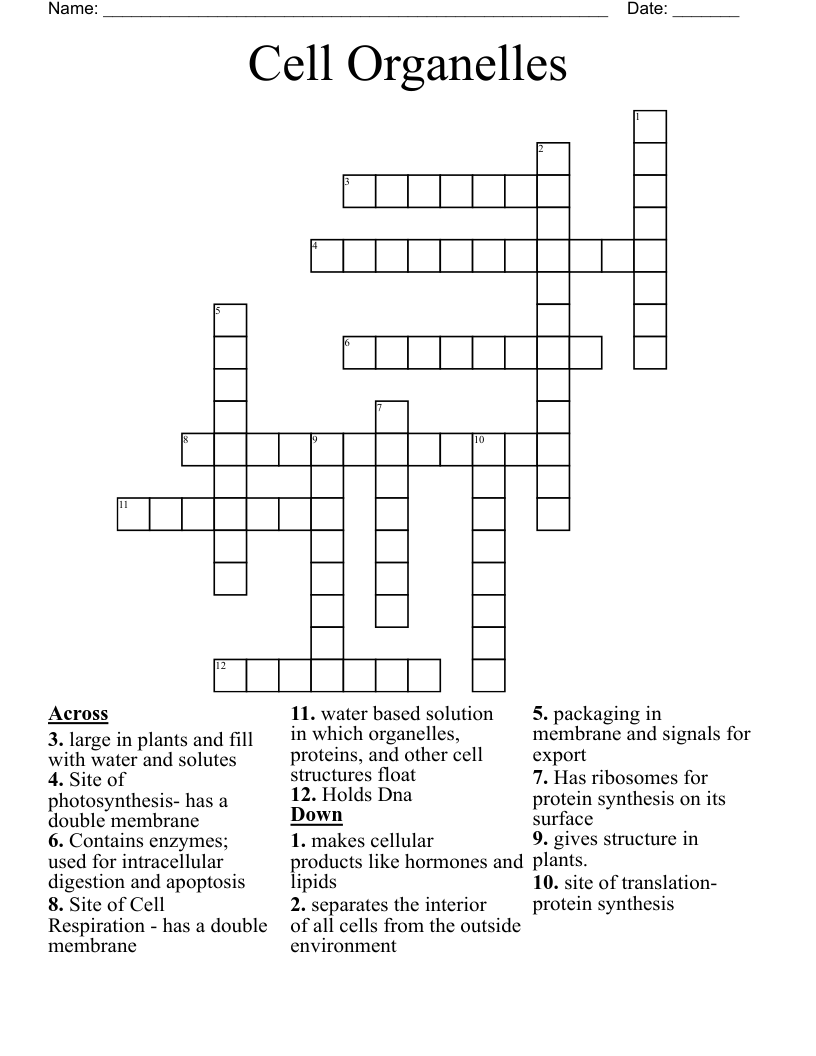 Cell Organelles Crossword