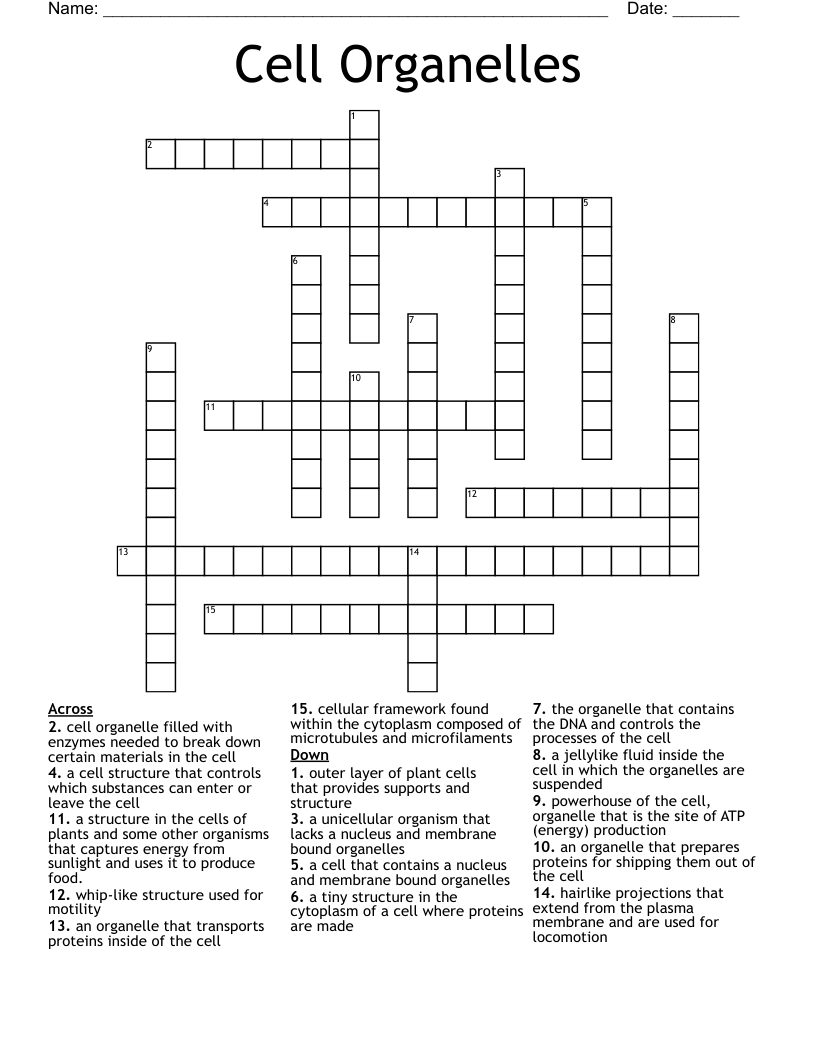 Cell Organelles Crossword