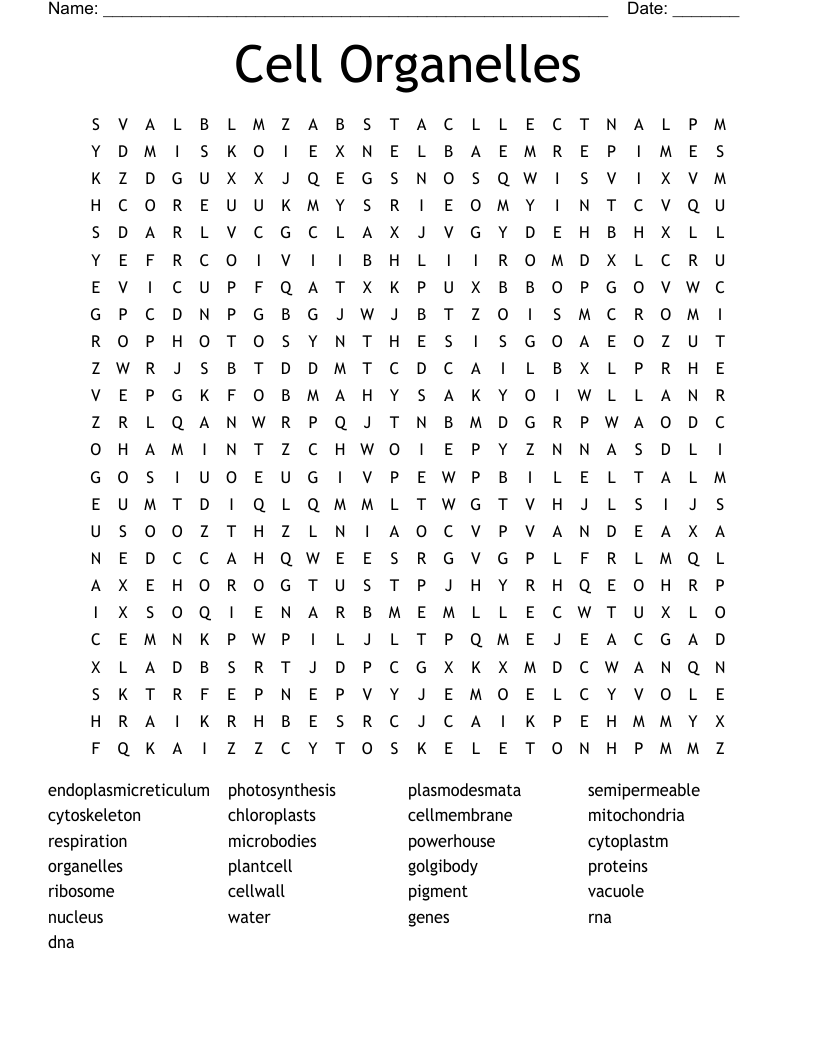 Cell Organelles Word Search