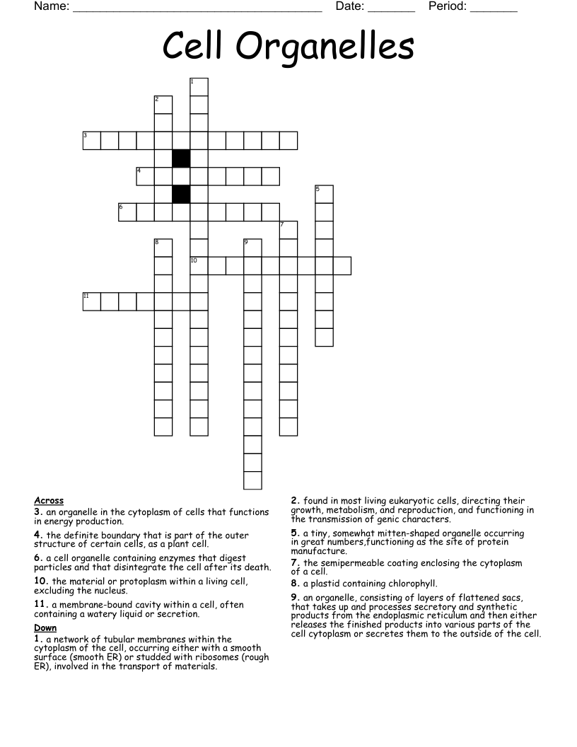 Cell Organelles Crossword