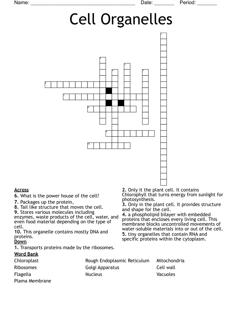 Cell Organelles Crossword