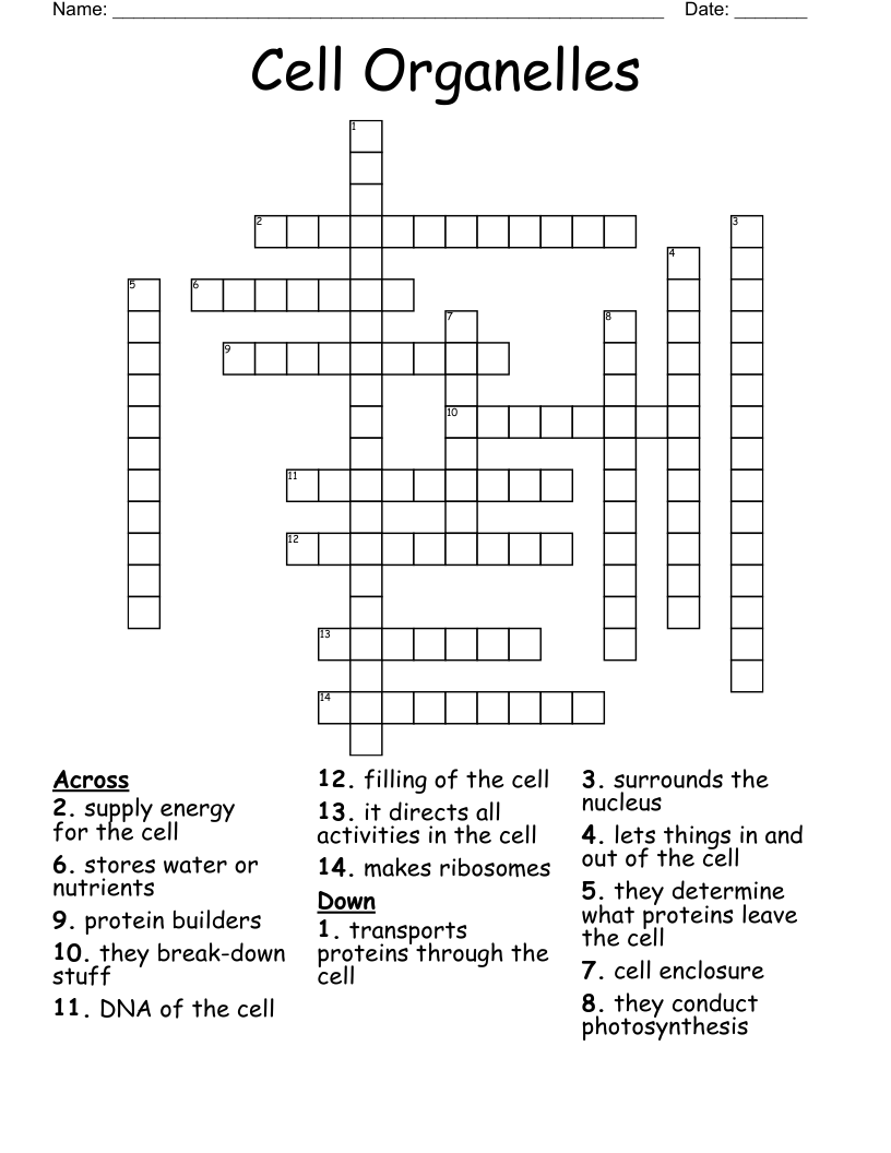 Cell Organelles Crossword