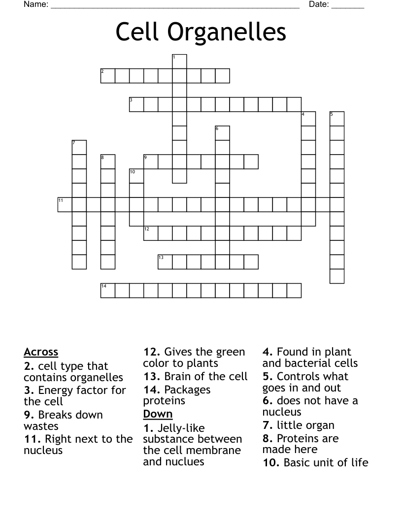 Cell Organelles Crossword