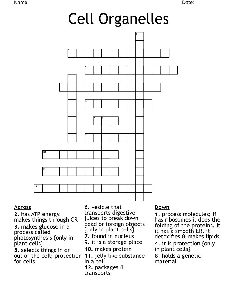 Cell Organelles Crossword