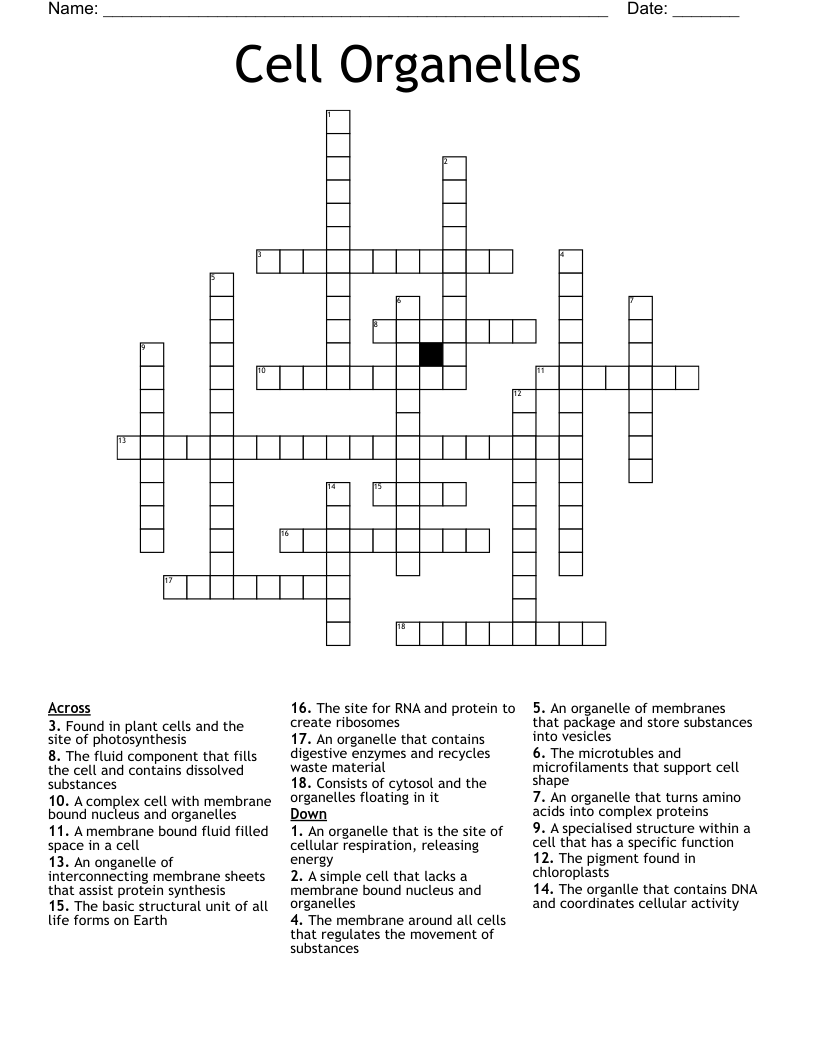 Cell Organelles Crossword
