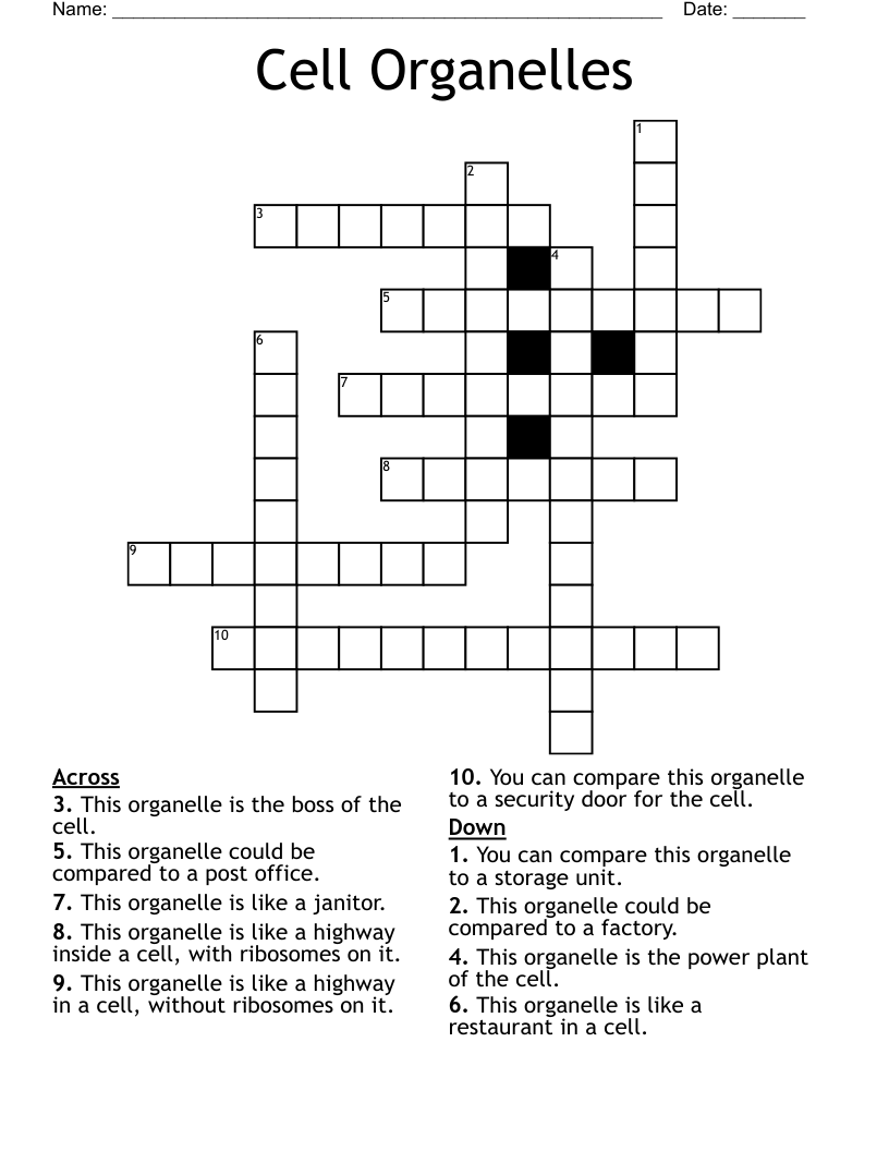 Cell Organelles Crossword