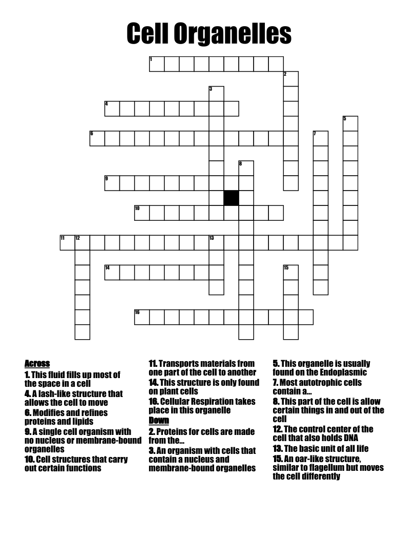 Cell Organelles Crossword