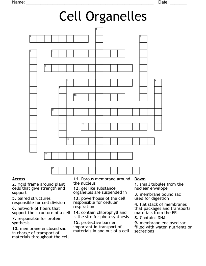 Cell Organelles Crossword