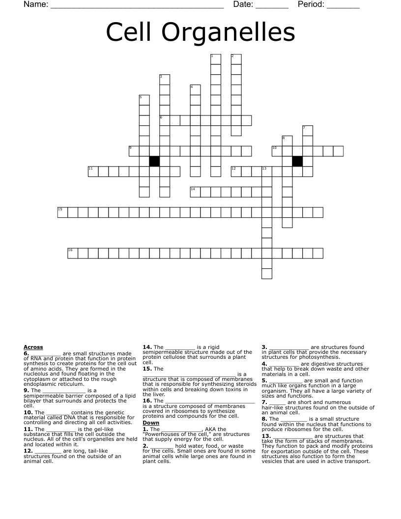 Cell Organelles Crossword
