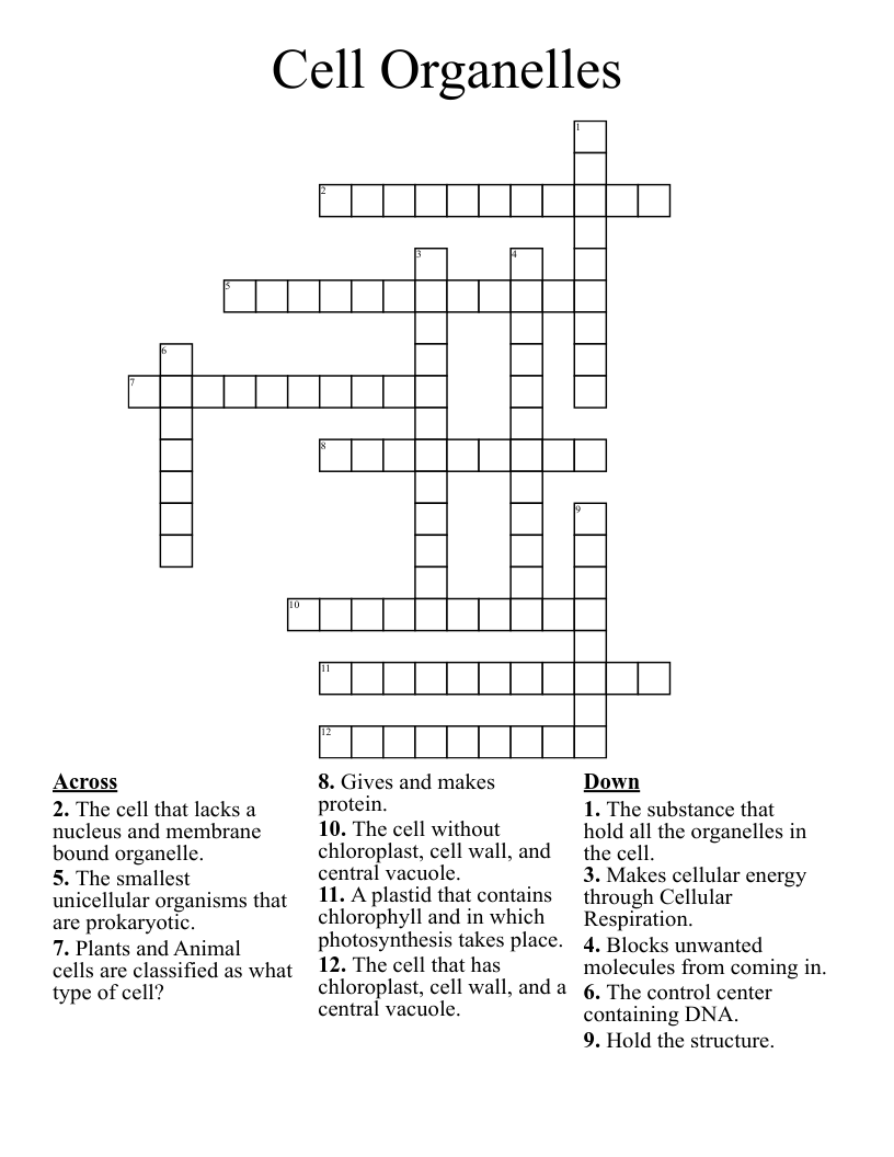 Cell Organelles Crossword