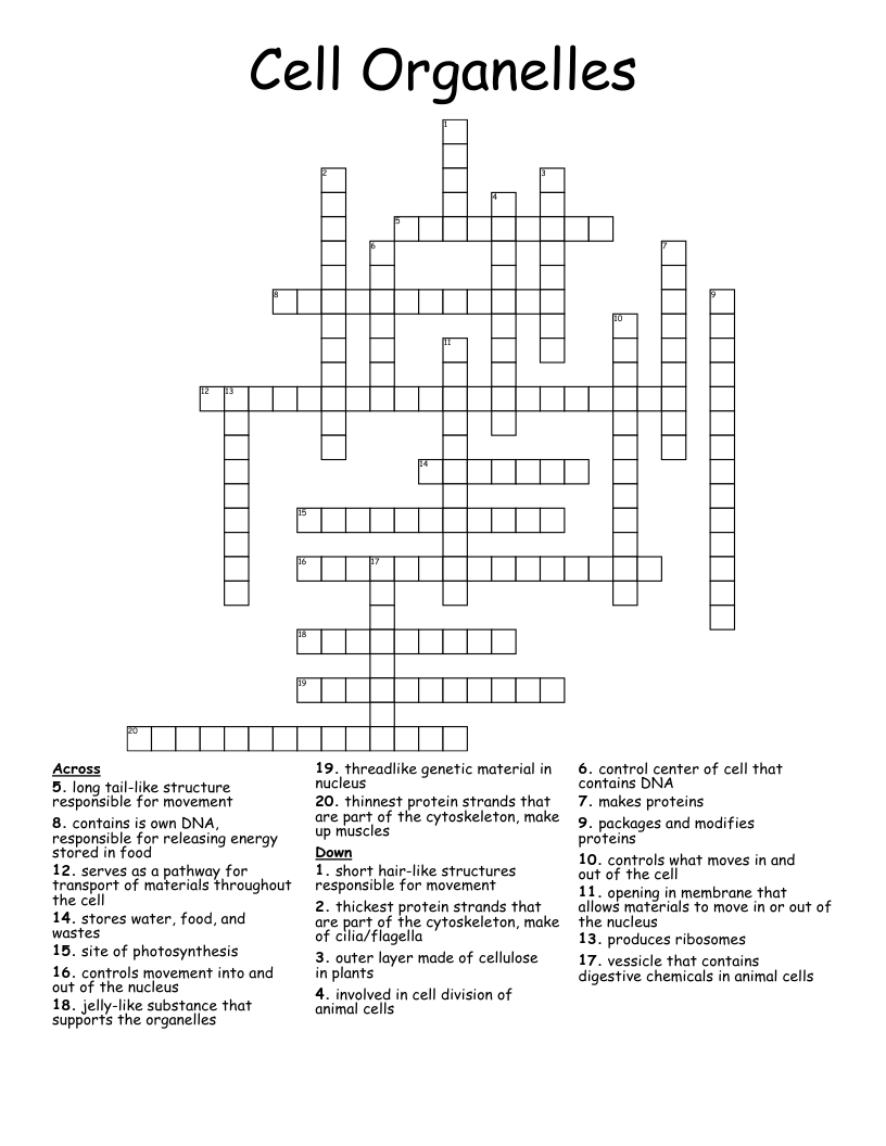 Cell Organelles Crossword