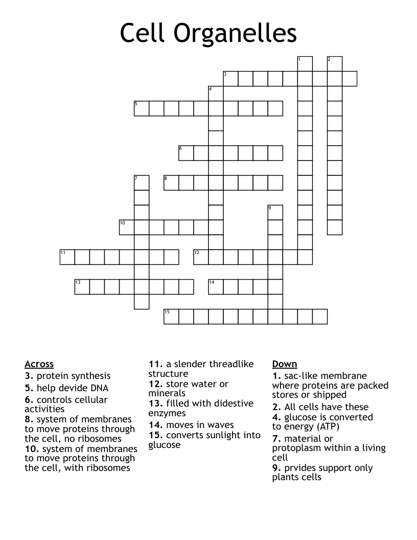 Cell Organelles Crossword