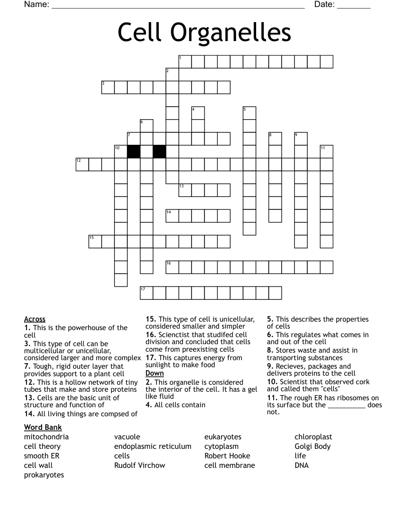 Cell Organelles Crossword