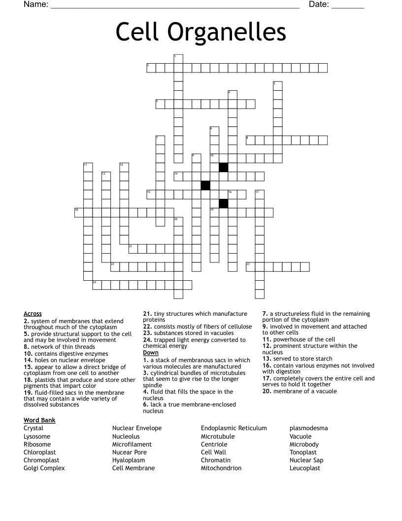 Cell Organelles Crossword