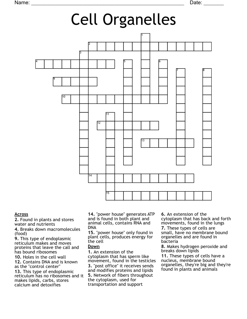 Cell Organelles Crossword