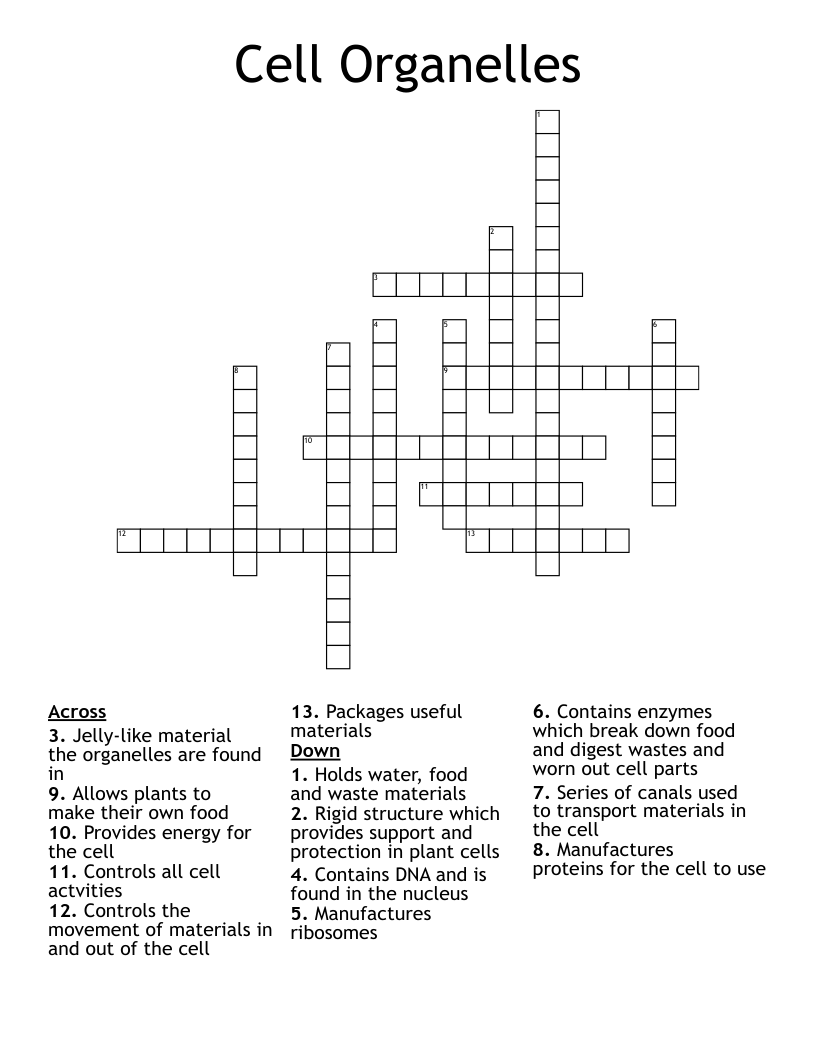 Cell Organelles Crossword
