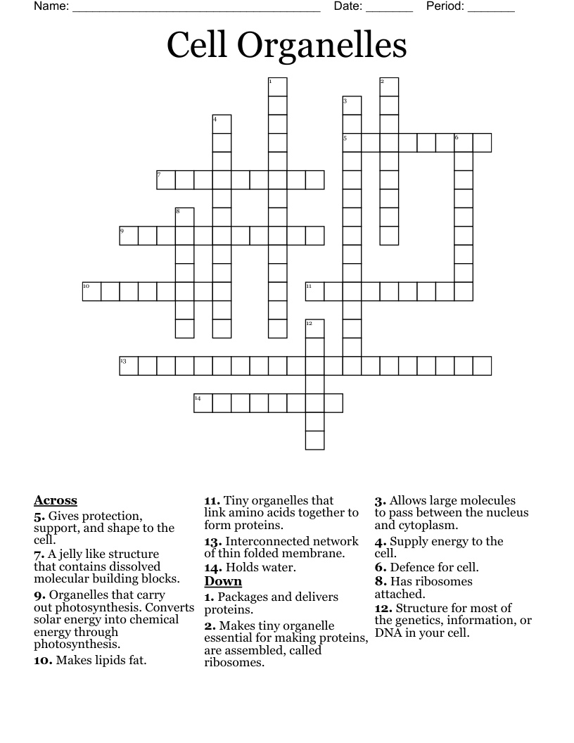 Cell Organelles Crossword