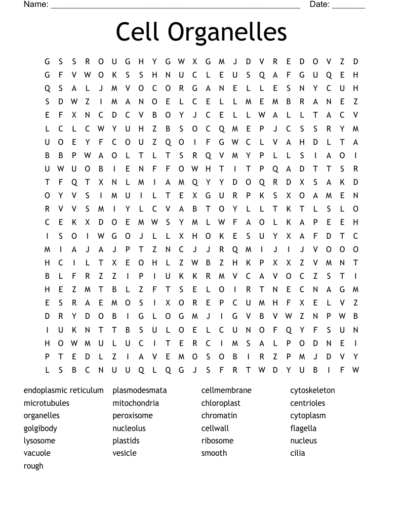 Cell Organelles Word Search