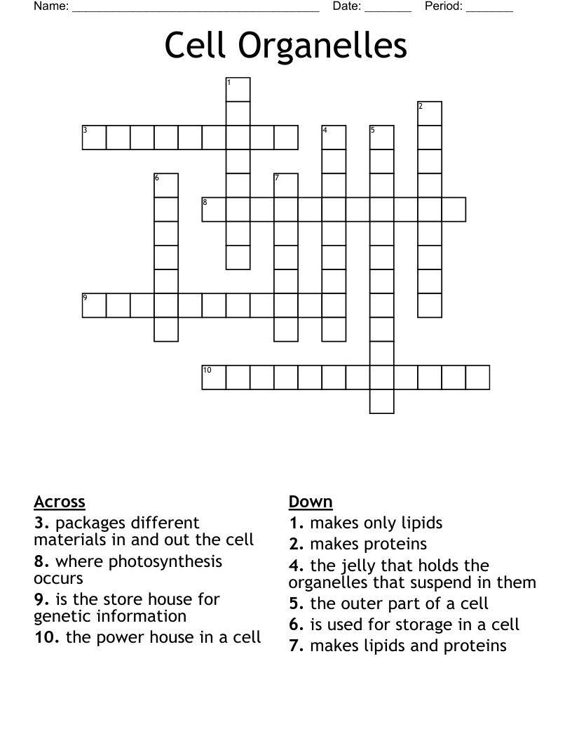 Cell Organelles Crossword