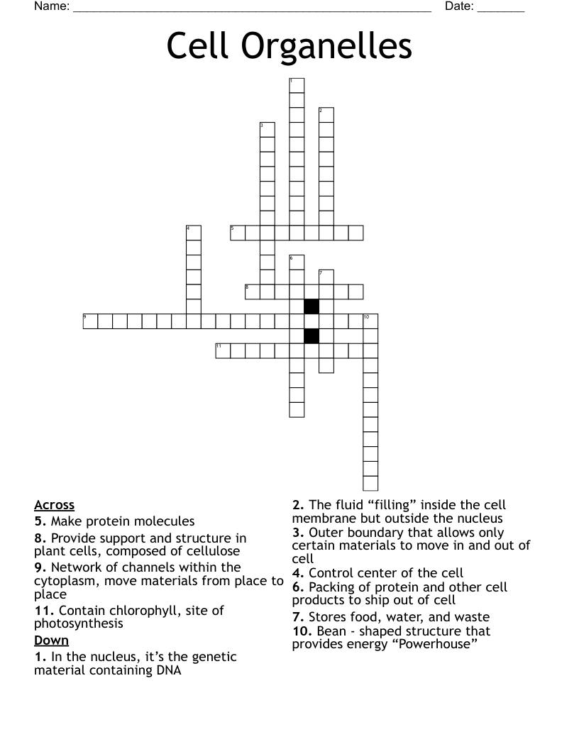 Cell Organelles Crossword
