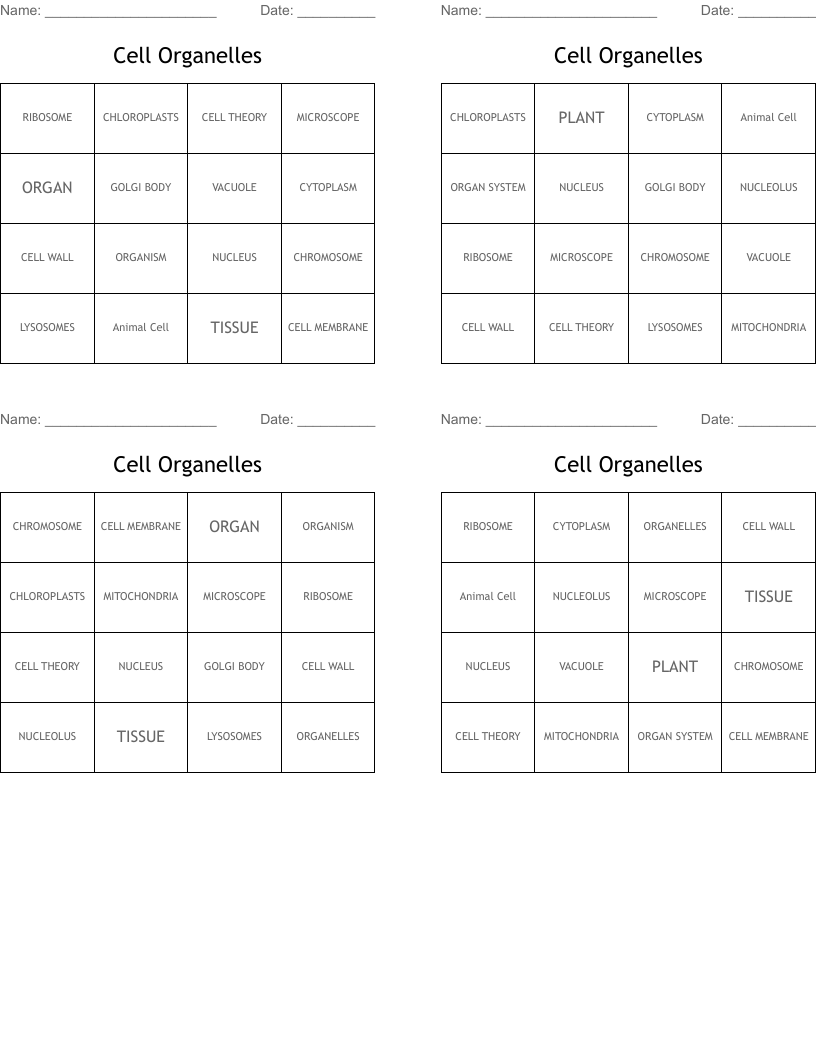Cell Organelles Bingo Cards