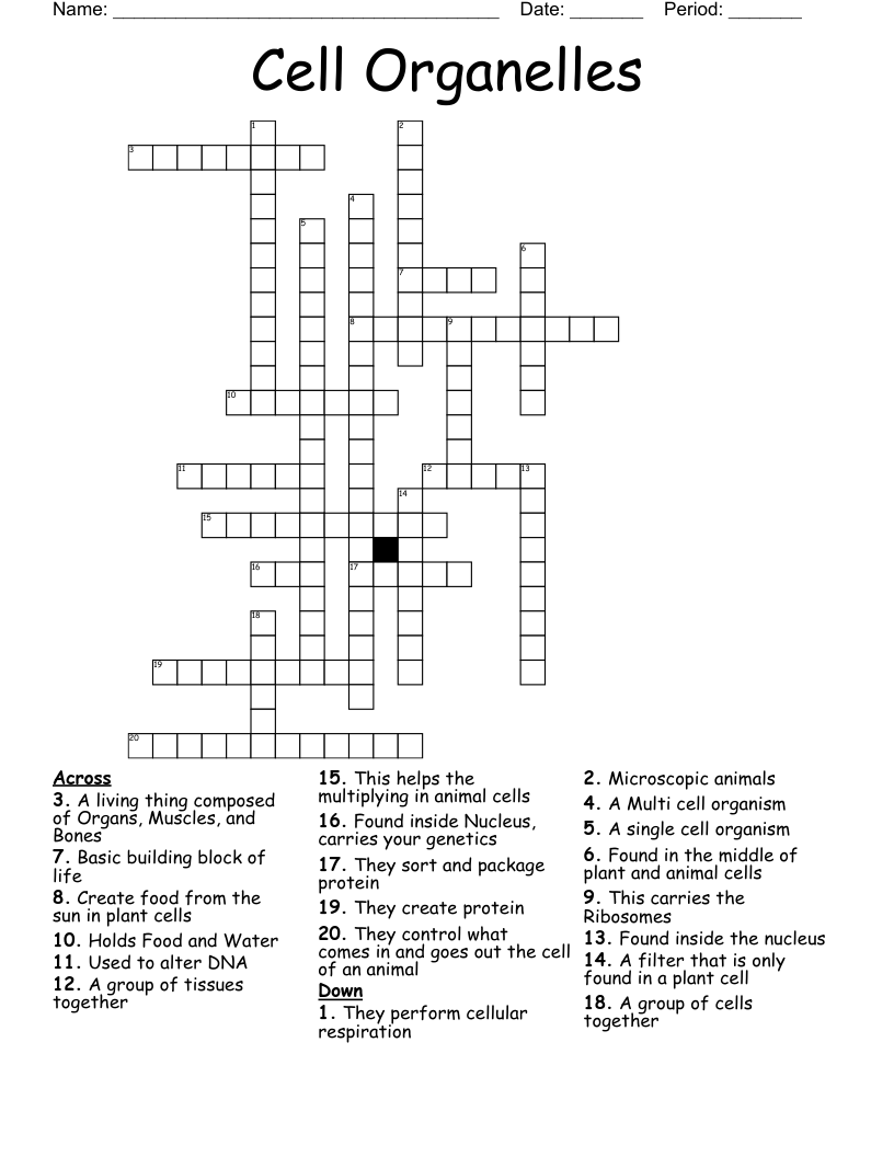 Cell Organelles Crossword