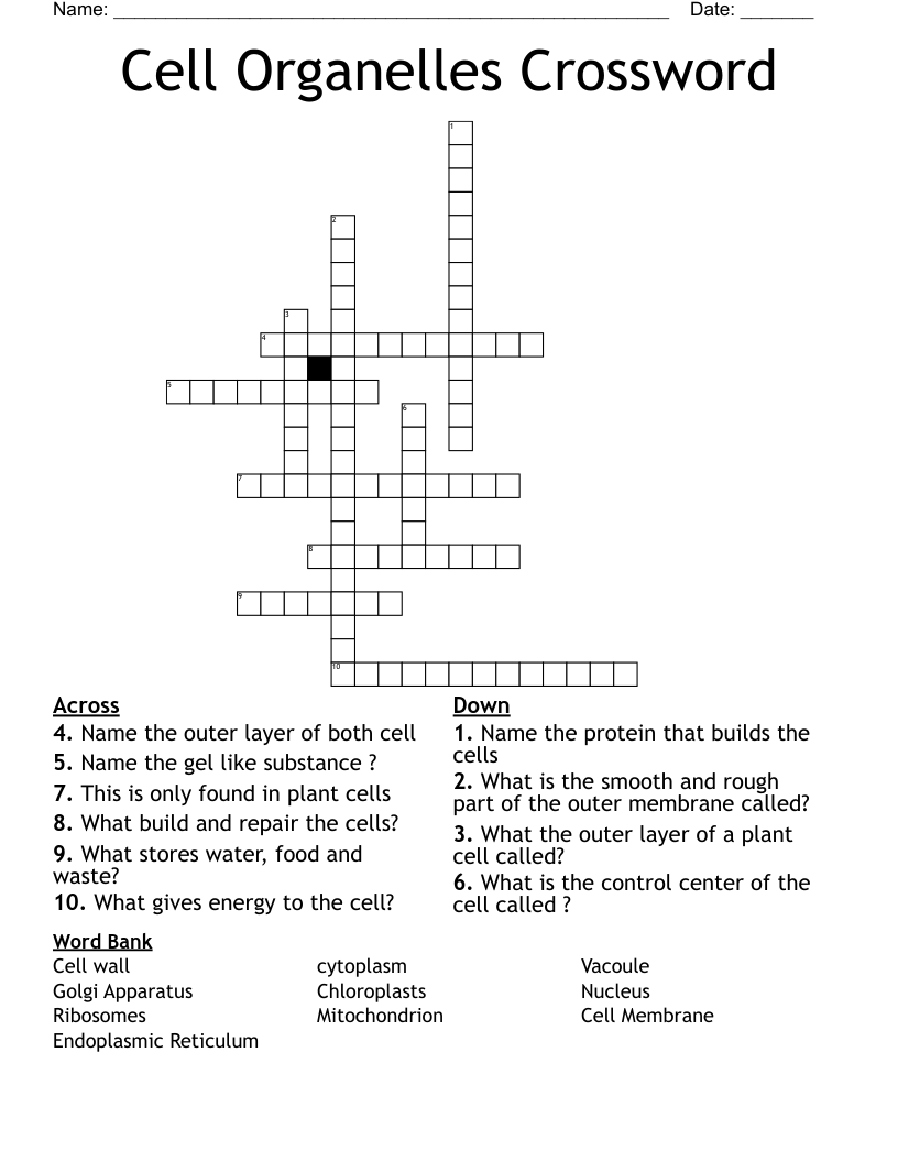 Cell Organelles Crossword