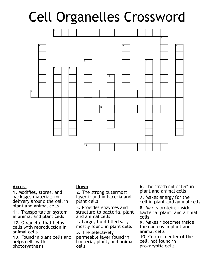 Cell Organelles Crossword