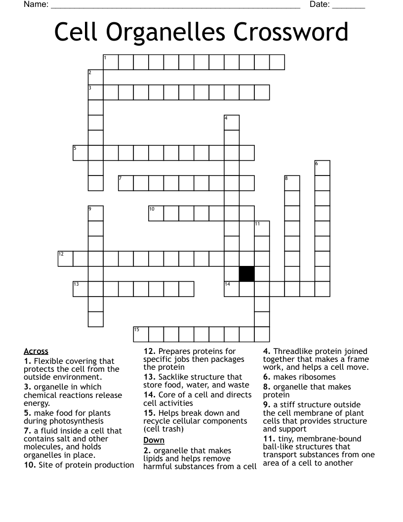 Cell Organelles Crossword