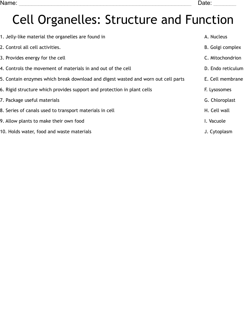 Cell Organelles: Structure and Function Worksheet