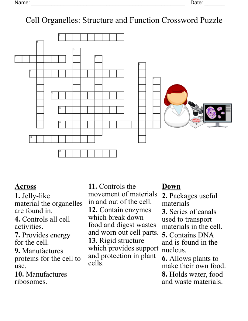 Cell Organelles: Structure and Function Crossword Puzzle