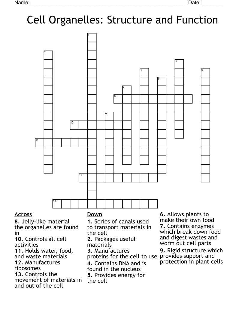 Cell Organelles: Structure and Function  Crossword