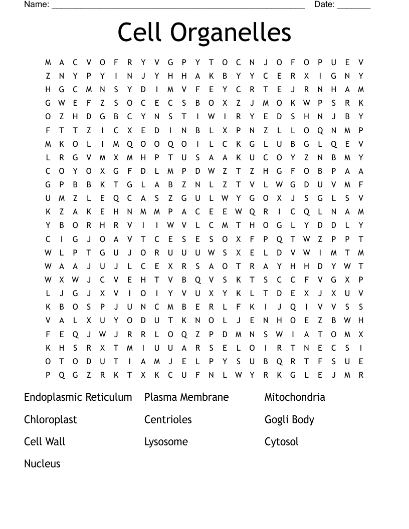 Cell Organelles  Word Search