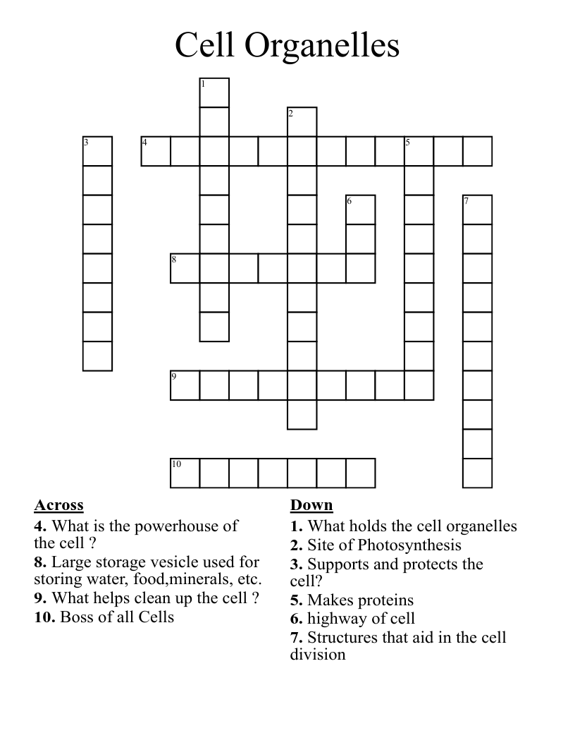 Cell Organelles  Crossword