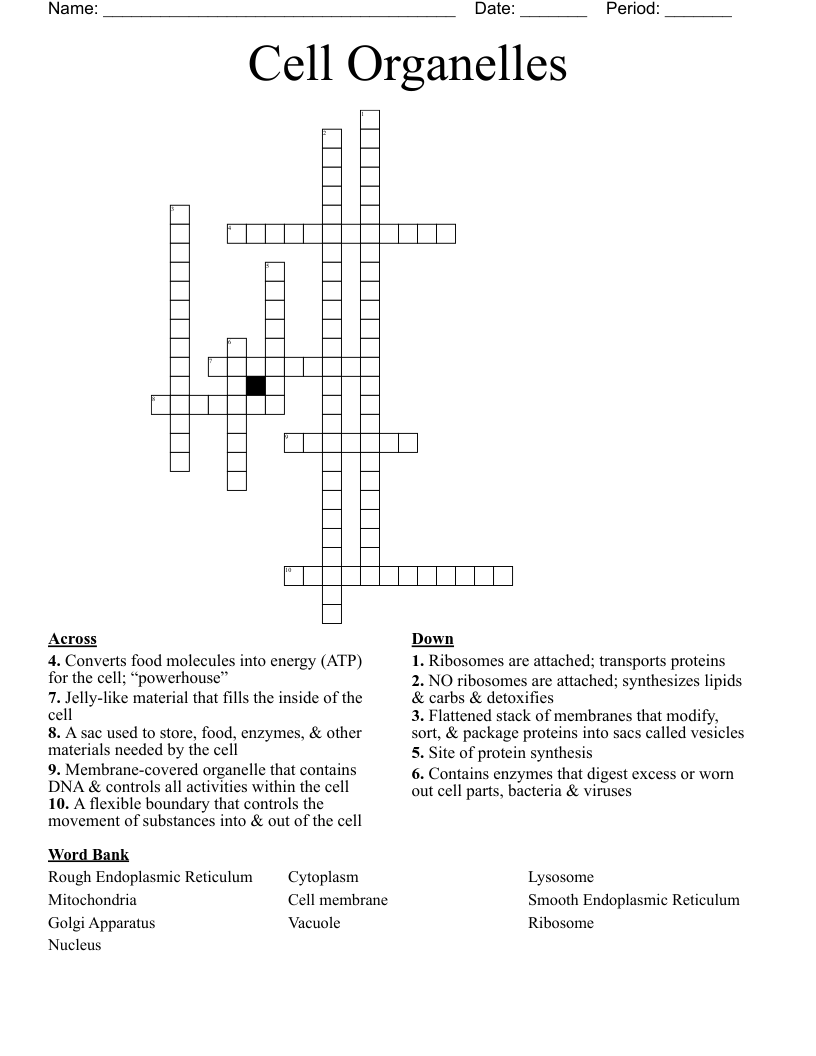 Cell Organelles  Crossword